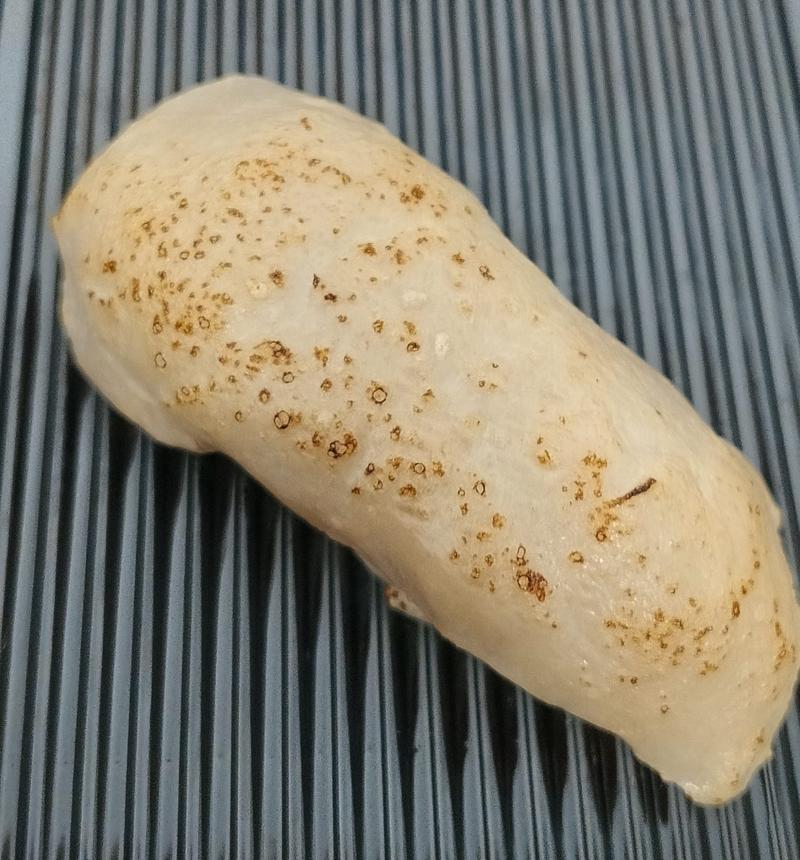 Flambierter Thunfisch Nigiri